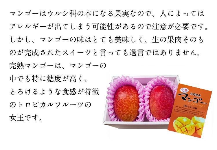 宮崎産完熟マンゴー2玉大玉サイズ（2L)