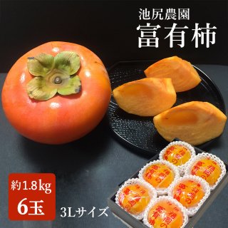 福岡県産 富有柿（6玉） ご贈答 贈り物 ご家庭用 冬ギフト 柿