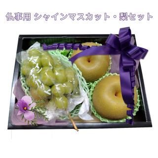 ʩ 㥤ޥåȡΥå