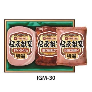 ƣϥ  IGM-30 ϥ८եȥå