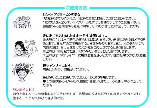 ヘアカラー・白髪染め用】SEN 100g5本セット - lohassupport