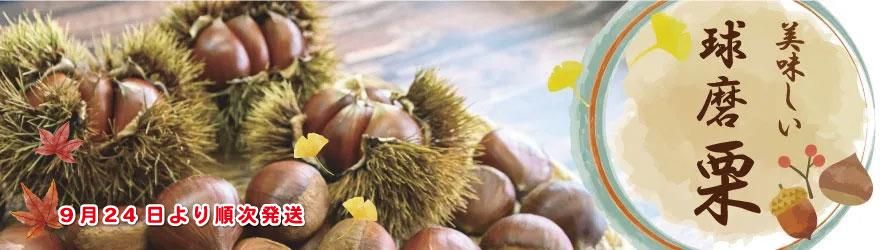 µåËá·ª µåËá·ª