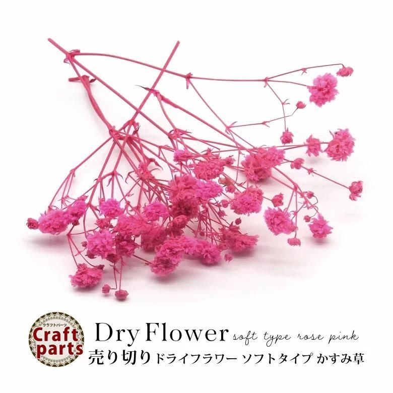 売り切り ドライフラワー かすみ草 ローズピンク プチココ