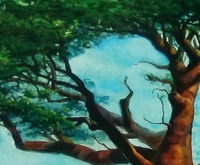 隠し絵シリーズ全8種より アフリカの木 トリックアート公式ネットショップ
