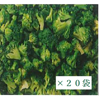 ニチレイフーズ　そのまま使えるミニブロッコリー（中国産）500ｇ　20袋の商品画像