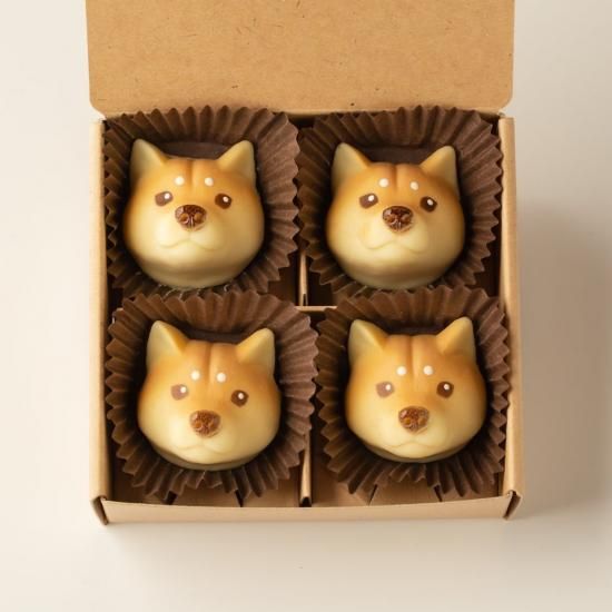 柴犬(赤) - ＆chocolate