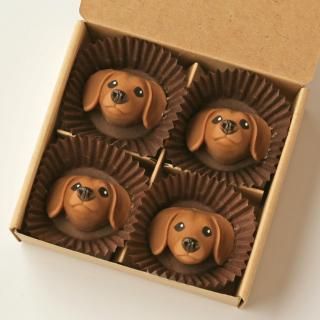 å()<img class='new_mark_img2' src='https://img.shop-pro.jp/img/new/icons5.gif' style='border:none;display:inline;margin:0px;padding:0px;width:auto;' />