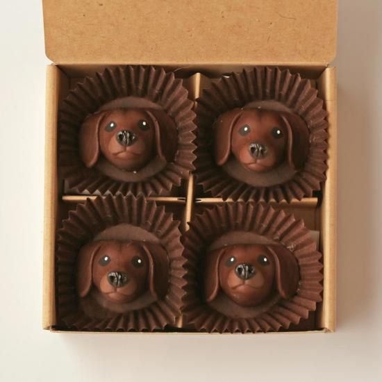 å(å)<img class='new_mark_img2' src='https://img.shop-pro.jp/img/new/icons5.gif' style='border:none;display:inline;margin:0px;padding:0px;width:auto;' />