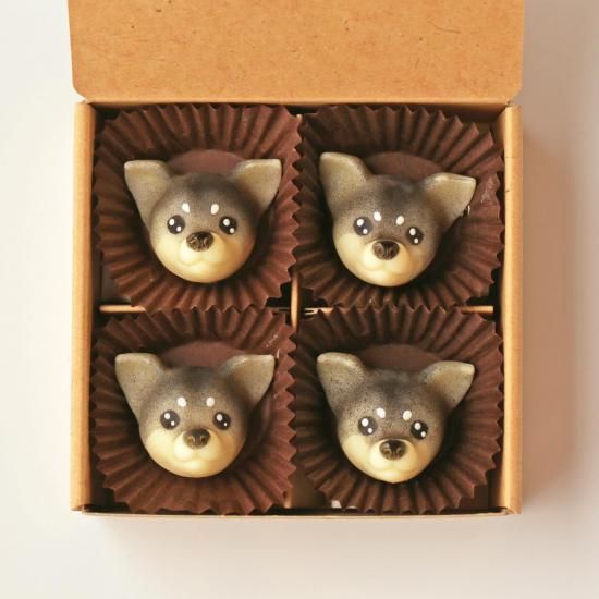 (֥å)<img class='new_mark_img2' src='https://img.shop-pro.jp/img/new/icons5.gif' style='border:none;display:inline;margin:0px;padding:0px;width:auto;' />