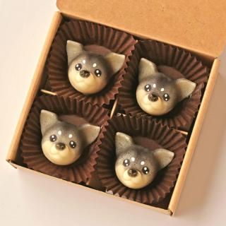 (֥å)<img class='new_mark_img2' src='https://img.shop-pro.jp/img/new/icons5.gif' style='border:none;display:inline;margin:0px;padding:0px;width:auto;' />