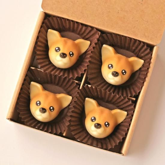 (꡼)<img class='new_mark_img2' src='https://img.shop-pro.jp/img/new/icons5.gif' style='border:none;display:inline;margin:0px;padding:0px;width:auto;' />