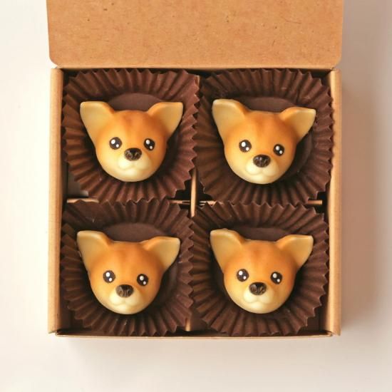 (꡼)<img class='new_mark_img2' src='https://img.shop-pro.jp/img/new/icons5.gif' style='border:none;display:inline;margin:0px;padding:0px;width:auto;' />