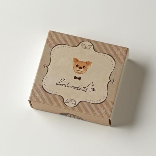 (꡼)<img class='new_mark_img2' src='https://img.shop-pro.jp/img/new/icons5.gif' style='border:none;display:inline;margin:0px;padding:0px;width:auto;' />