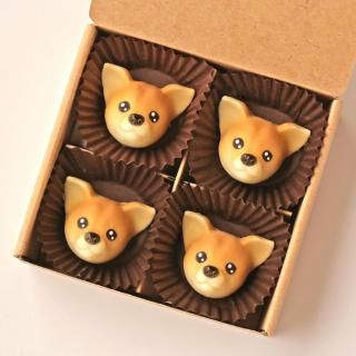 (꡼)<img class='new_mark_img2' src='https://img.shop-pro.jp/img/new/icons5.gif' style='border:none;display:inline;margin:0px;padding:0px;width:auto;' />