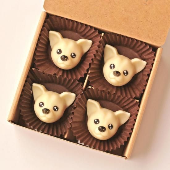 (ۥ磻)<img class='new_mark_img2' src='https://img.shop-pro.jp/img/new/icons5.gif' style='border:none;display:inline;margin:0px;padding:0px;width:auto;' />