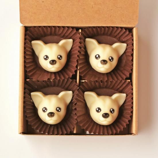 (ۥ磻)<img class='new_mark_img2' src='https://img.shop-pro.jp/img/new/icons5.gif' style='border:none;display:inline;margin:0px;padding:0px;width:auto;' />