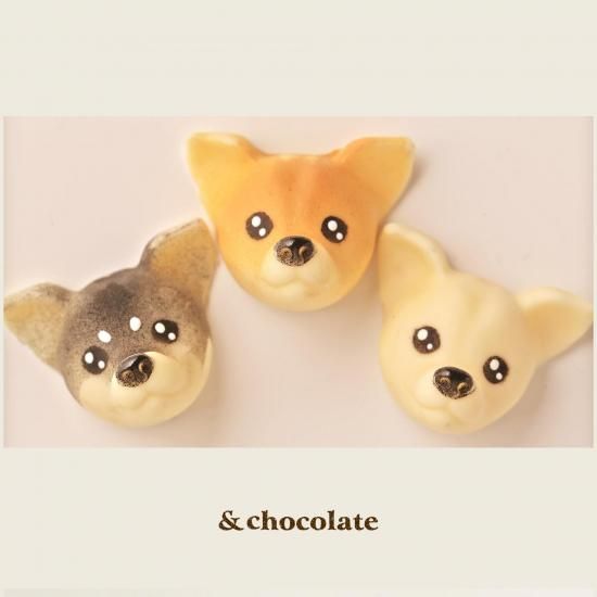 (ۥ磻)<img class='new_mark_img2' src='https://img.shop-pro.jp/img/new/icons5.gif' style='border:none;display:inline;margin:0px;padding:0px;width:auto;' />