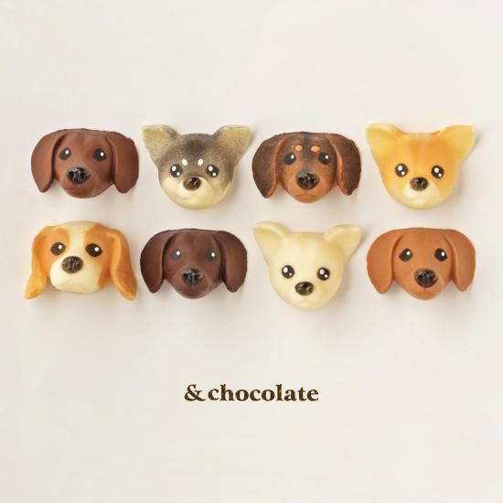 (ۥ磻)<img class='new_mark_img2' src='https://img.shop-pro.jp/img/new/icons5.gif' style='border:none;display:inline;margin:0px;padding:0px;width:auto;' />