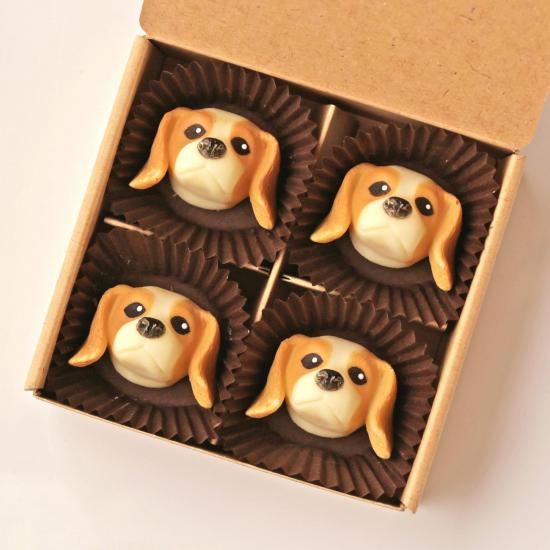 Хꥢ(֥ϥ)<img class='new_mark_img2' src='https://img.shop-pro.jp/img/new/icons5.gif' style='border:none;display:inline;margin:0px;padding:0px;width:auto;' />