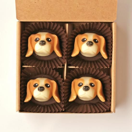 Хꥢ(֥ϥ)<img class='new_mark_img2' src='https://img.shop-pro.jp/img/new/icons5.gif' style='border:none;display:inline;margin:0px;padding:0px;width:auto;' />