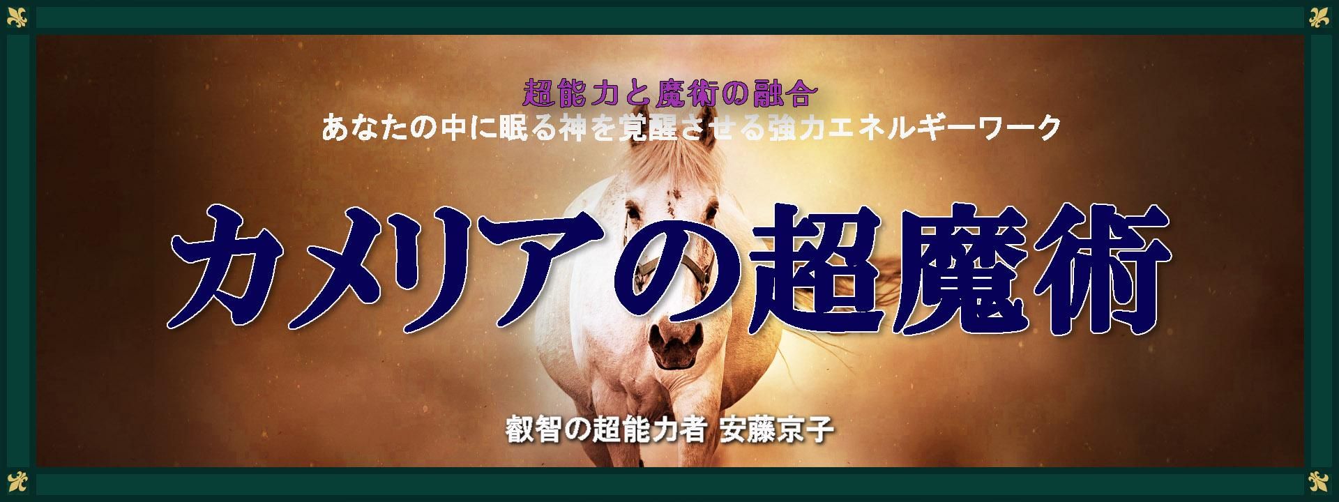 幸せのきっかけを掴み運勢を上昇させるカメリアの超魔術