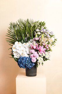 Arrangement Flower򵷡߲ Ceremony flower