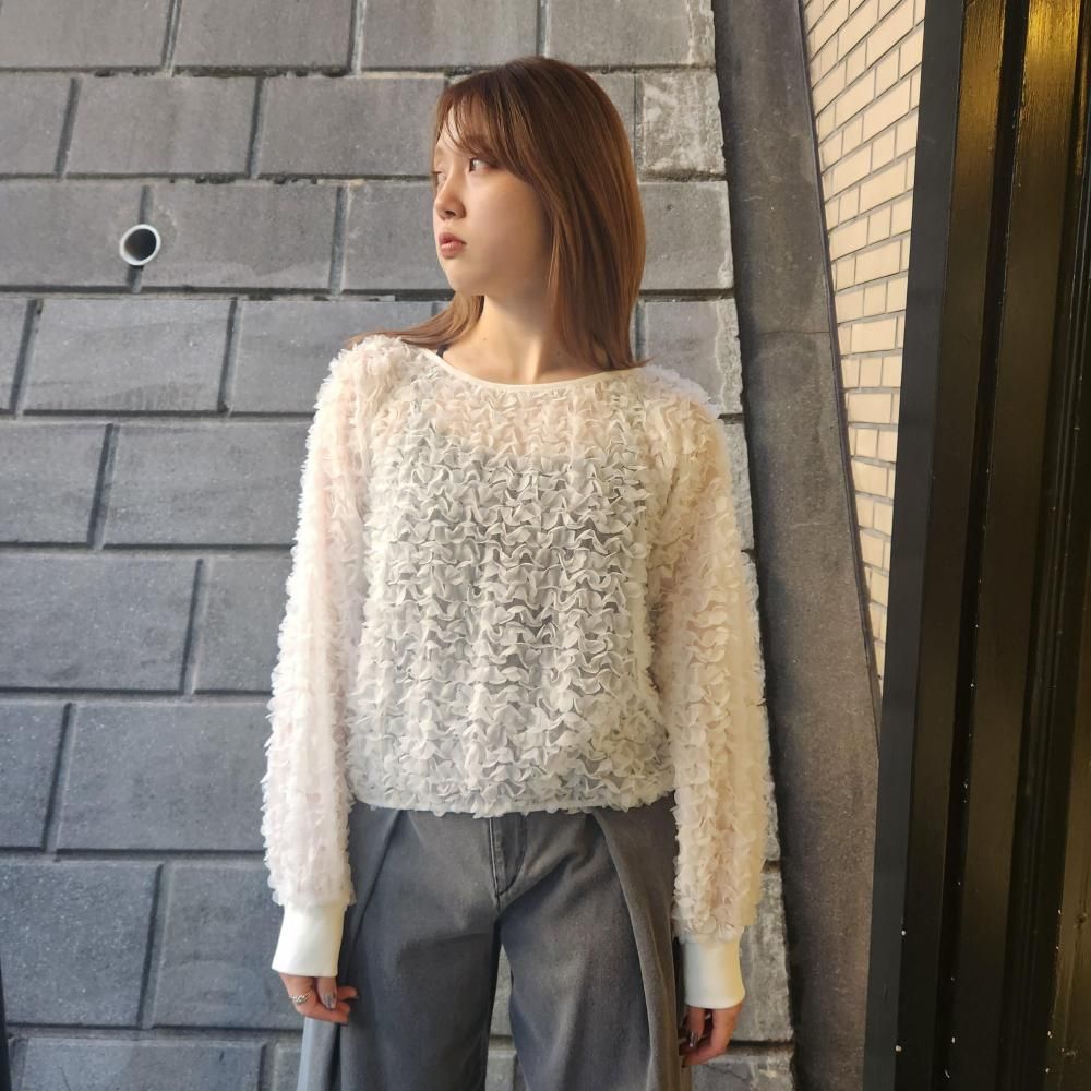 <img class='new_mark_img1' src='https://img.shop-pro.jp/img/new/icons1.gif' style='border:none;display:inline;margin:0px;padding:0px;width:auto;' />provoke petal motif cropped pullover (WHITE)