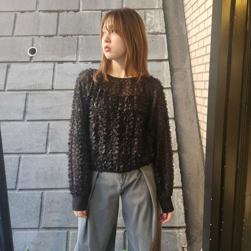 <img class='new_mark_img1' src='https://img.shop-pro.jp/img/new/icons1.gif' style='border:none;display:inline;margin:0px;padding:0px;width:auto;' />provoke petal motif cropped pullover (BLACK)