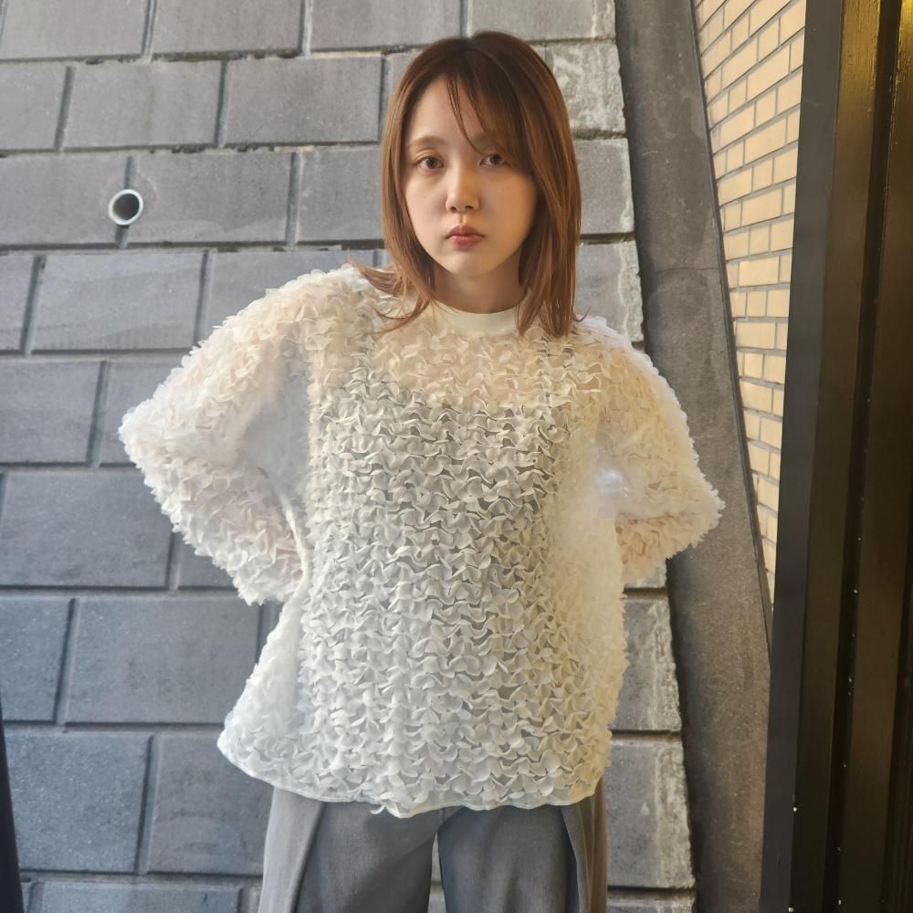 <img class='new_mark_img1' src='https://img.shop-pro.jp/img/new/icons1.gif' style='border:none;display:inline;margin:0px;padding:0px;width:auto;' />provoke petal motif  pullover (WHITE)