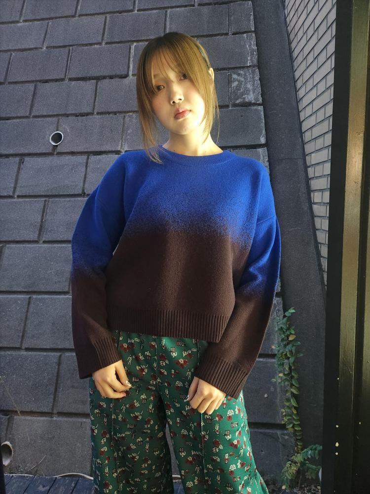 <img class='new_mark_img1' src='https://img.shop-pro.jp/img/new/icons1.gif' style='border:none;display:inline;margin:0px;padding:0px;width:auto;' />miiBIRDSEYE JACQUARD JUMPER(BLUE)