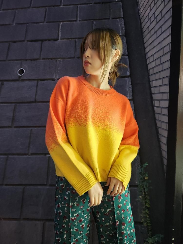 <img class='new_mark_img1' src='https://img.shop-pro.jp/img/new/icons1.gif' style='border:none;display:inline;margin:0px;padding:0px;width:auto;' />miiBIRDSEYE JACQUARD JUMPER(ORANGE)