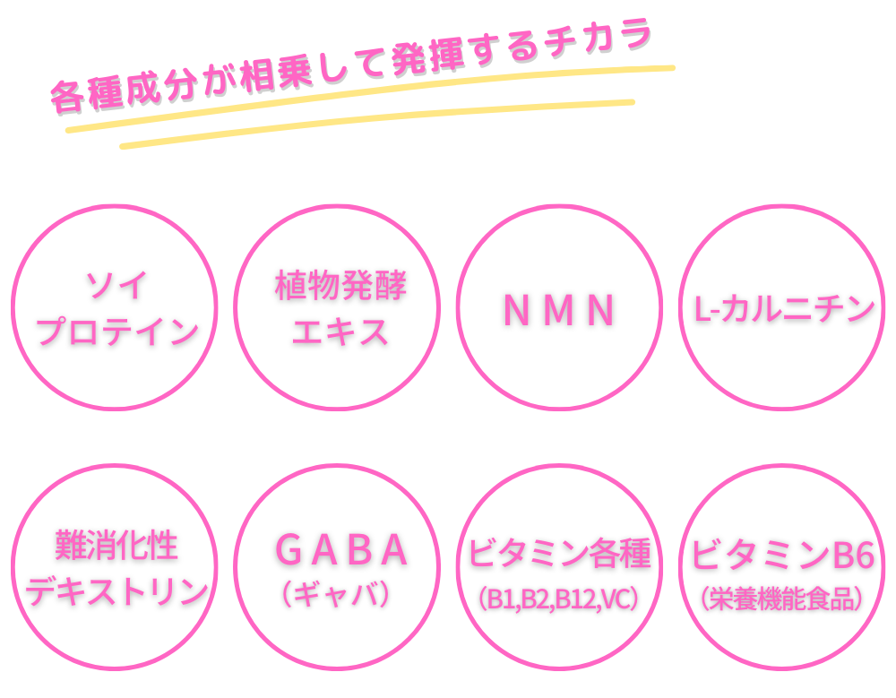酵素ドリンク IZM WATER PROTEIN PINE SOYTASTE(イズム ウォーター 酵素ドリンク IZM WATER PROTEIN PINE SOYTASTE(イズム ウォーター