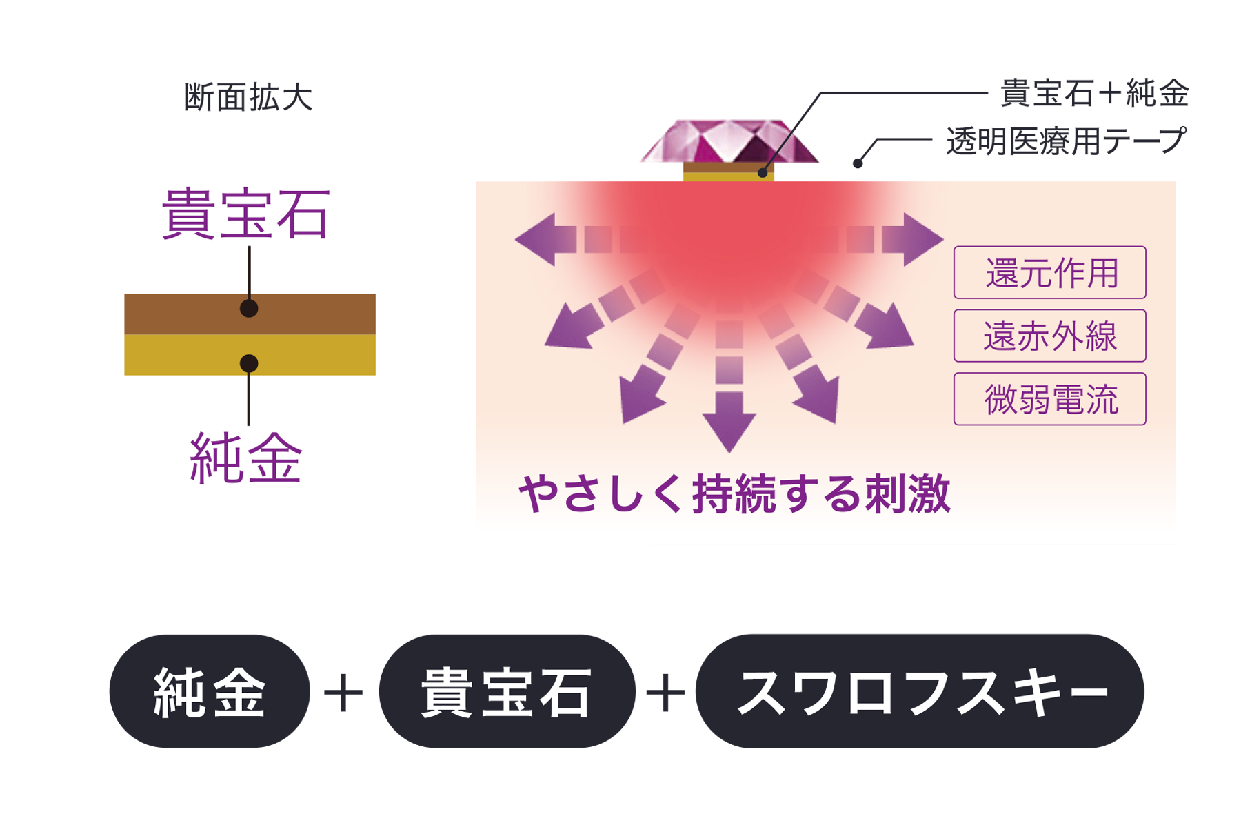 Ĥܥ奨꡼̳ѡŹ