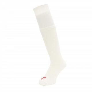 WHIMSY - PALM SUPPLY パーム WHIMSY - PALM SUPPLY パーム