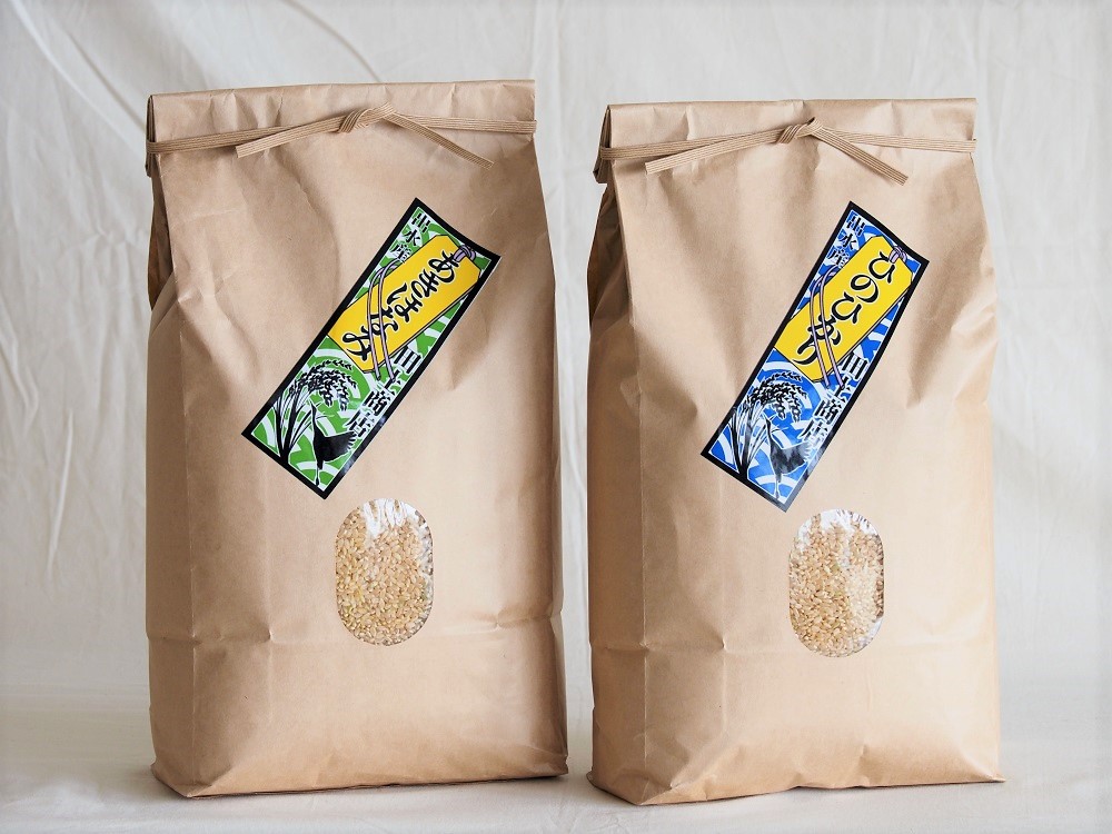 ［玄米］鹿児島県出水市産ひのひかり・あきほなみたっぷり味比べセット（5kg×2袋）