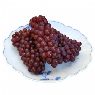 纬 ǥ饦 2<img class='new_mark_img2' src='https://img.shop-pro.jp/img/new/icons43.gif' style='border:none;display:inline;margin:0px;padding:0px;width:auto;' />