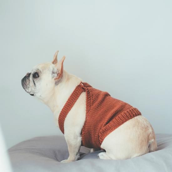 【お年玉セール特価】 フレンチブルドッグ服 Buhitt ブヒット 手編み ニット服 GRACIA 犬服・アクセサリー