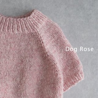 frenchie  sweater -Dog Rose