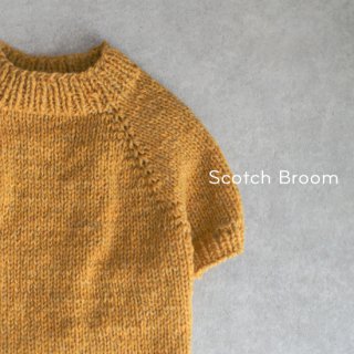 frenchie  sweater -Scotch Broom