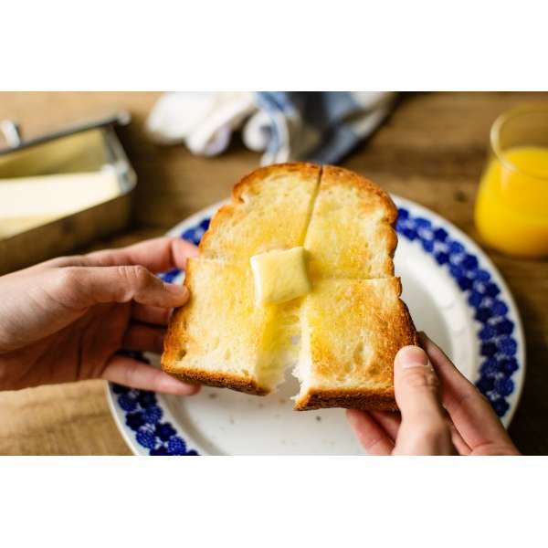 Хߥ塼 BALMUDA The Toaster ȡ K11A-BK