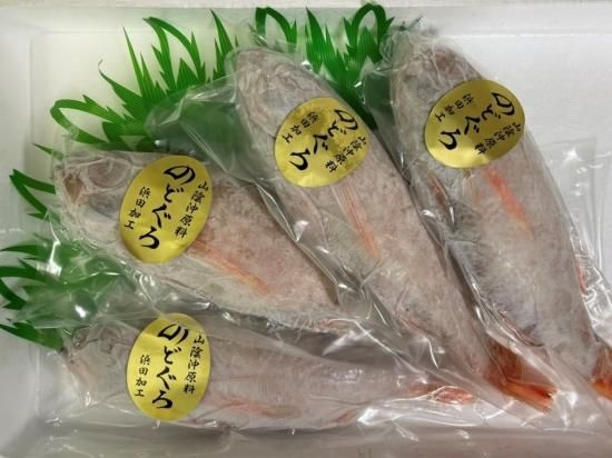 送料無料 のどぐろ下処理済み アルコール凍結 大4尾セット 公式 みなと水産オンラインショップ 島根県浜田市 一夜干し 送料無料 のどぐろ下処理済み アルコール凍結 大4尾セット 公式 みなと水産オンラインショップ 島根県浜田市 一夜干し