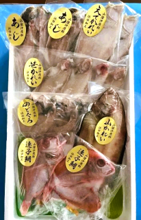 山陰のおみやげ本舗 なかうら / 干物