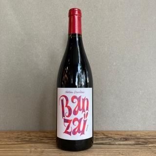 ȡ֥ɡХ󥶥 22VT