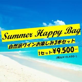 Summer Happy Bagۼɥ磻󤪳ڤ3ܥå