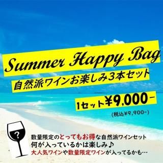 Summer Happy Bagۼɥ磻󤪳ڤ3ܥå