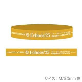 Echoes25ۥСХɡƲ