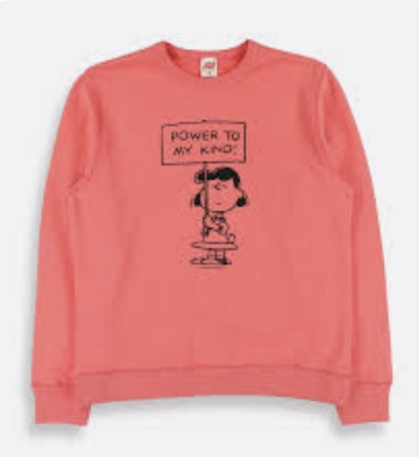 POWER TO MY KIND SWEATSHIRT<img class='new_mark_img2' src='https://img.shop-pro.jp/img/new/icons50.gif' style='border:none;display:inline;margin:0px;padding:0px;width:auto;' />