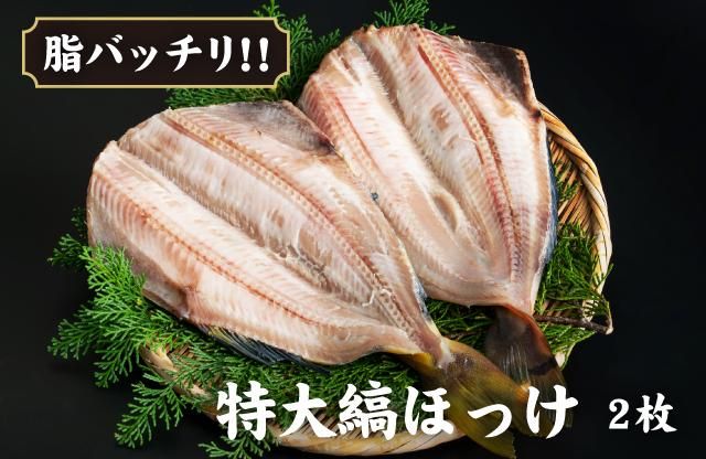 特大縞ほっけ干物 大富水産 特大縞ほっけ干物 大富水産