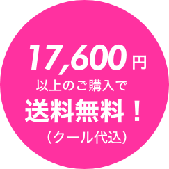17,600߰ʾ̵()