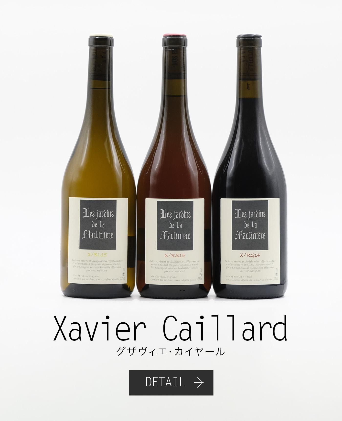 䡼롡Xavier Caillard
